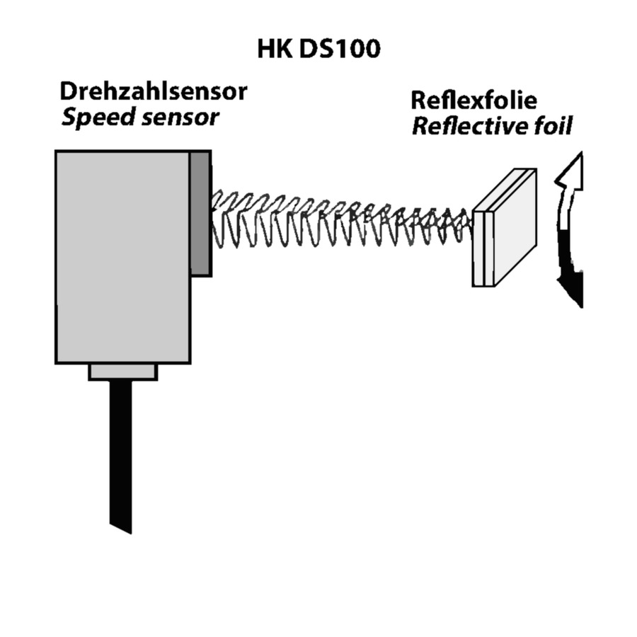 HK DS 100