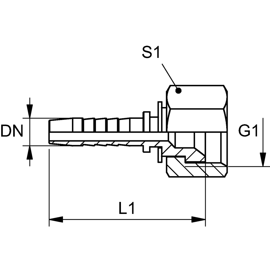 PN 06 AN
